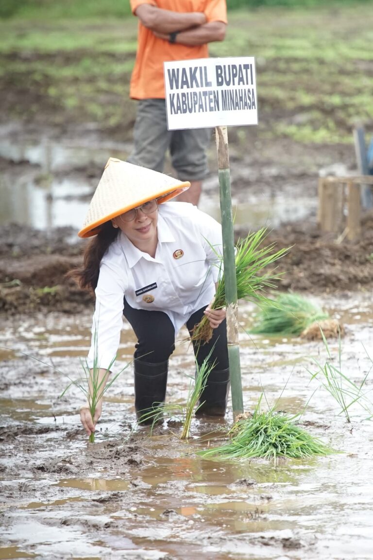 FB_IMG_1756384767692